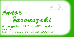 andor haromszeki business card